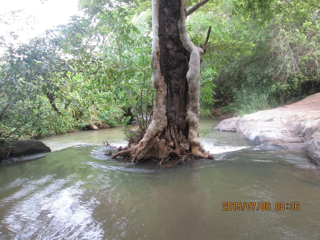 Riverside Lal Homestay Sigiriya Eksteriør bilde